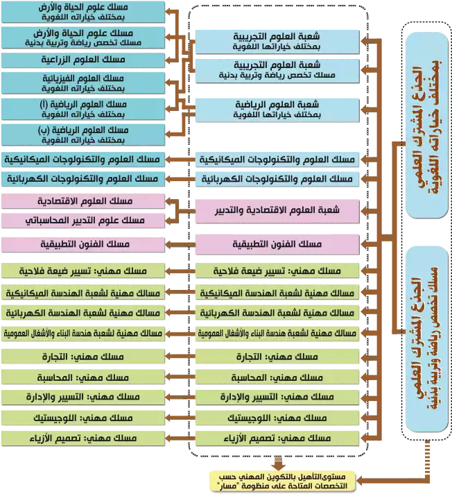 توجيه بعد جدع مشترك علمي 2024